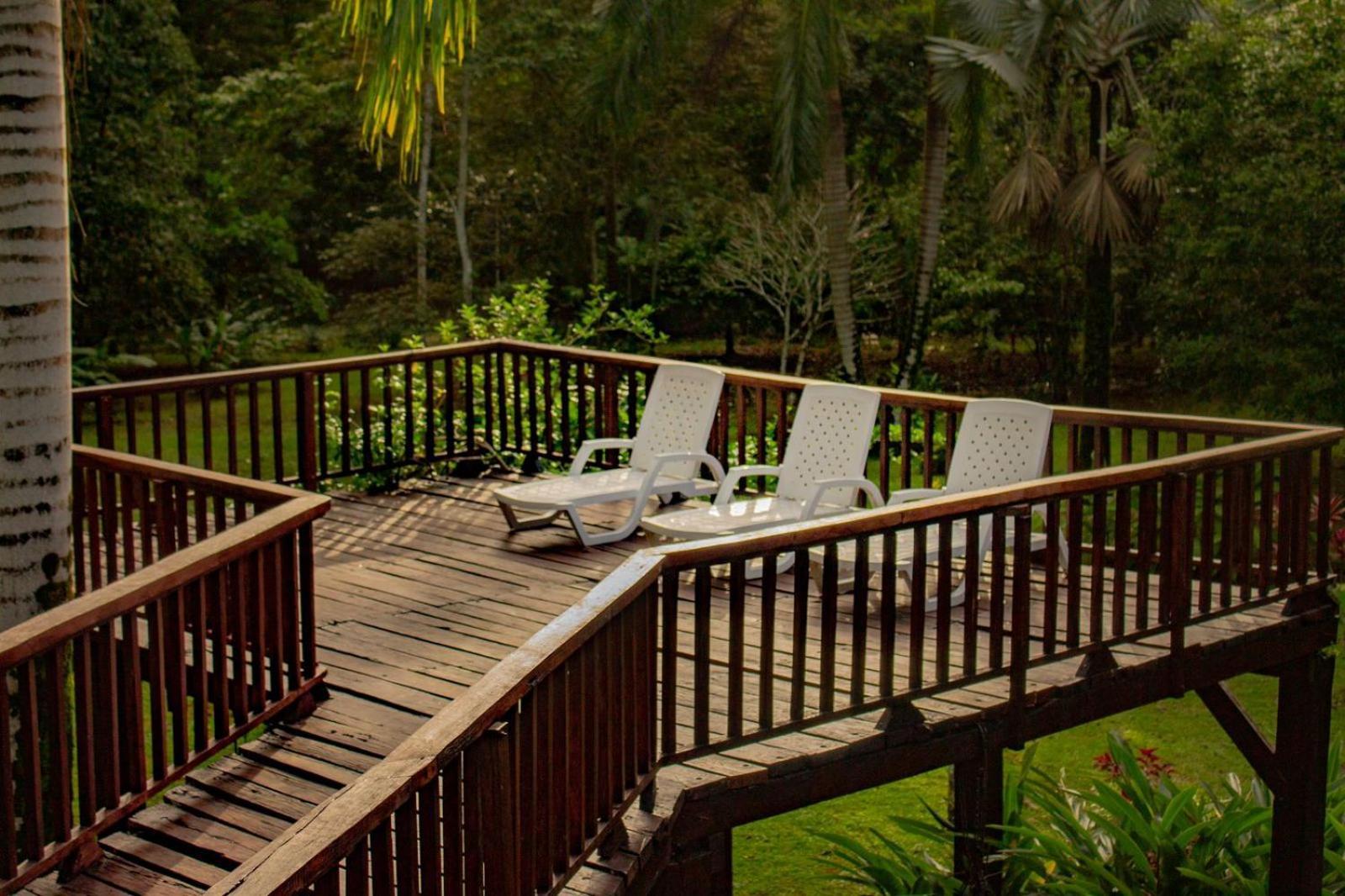 Casa Heliconia - Spacious, Big Garden, Close To The Beach Puerto Viejo de Talamanca Esterno foto